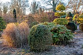 THE LASKETT GARDEN, HEREFORDSHIRE: WINTER, FROST, JANUARY, THE WILD GARDEN, GRASSES, CLIPPED KING HOLLY, MAHONIA