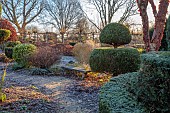 THE LASKETT GARDEN, HEREFORDSHIRE: WINTER, FROST, JANUARY, THE WILD GARDEN, STONE BENCH, SEAT, CLIPPED TOPIARY YEW