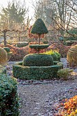 THE LASKETT GARDEN, HEREFORDSHIRE: WINTER, FROST, JANUARY, THE WILD GARDEN, CLIPPED TOPIARY YEW