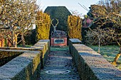 THE LASKETT GARDEN, HEREFORDSHIRE: WINTER, FROST, JANUARY, RECLINING STAG IN THE CHRISTMAS ORCHARD, YEW HEDGES, HEDGING