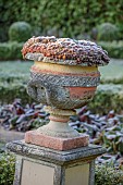 THE LASKETT GARDEN, HEREFORDSHIRE: WINTER, FROST, JANUARY, SILVER JUBILEE GARDEN, URN, CONTAINER WITH SEMPERVIVIUMS