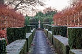 THE LASKETT GARDEN, HEREFORDSHIRE: WINTER, FROST, JANUARY, ELIZABETH TUDOR AVENUE, PLEACHED LIMES, TILIA PLATYPHYLLOS RUBRA, YEW HEDGES, HEDGING, IRISH YEW