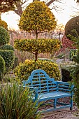 THE LASKETT GARDEN, HEREFORDSHIRE: WINTER, FROST, JANUARY, CLIPPED TOPIARY KING HOLLY, BLUE BENCH, CHAIR