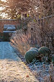 HELMINGHAM HALL GARDENS, SUFFOLK: WINTER, FROST, JANUARY, THE WALLED GARDEN, CLIPPED TOPIARY YEWS, PATH, WALLS, GRASSES, CLIPPED BOX