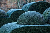 HELMINGHAM HALL GARDENS, SUFFOLK: WINTER, FROST, JANUARY, THE WALLED GARDEN, CLIPPED TOPIARY YEWS