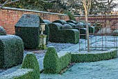 HELMINGHAM HALL GARDENS, SUFFOLK: WINTER, FROST, JANUARY, THE WALLED GARDEN, CLIPPED TOPIARY YEWS, PATH, WALLS, STONE URN, BOX EDGED BEDS