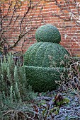 HELMINGHAM HALL GARDENS, SUFFOLK: WINTER, FROST, JANUARY, CLIPPED TOPIARY SHAPE IN THE WALLED GARDEN