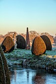 HELMINGHAM HALL GARDENS, SUFFOLK: WINTER, FROST, JANUARY, STATUE AND CLIPPED TOPIARY YEW BESIDE THE ENTRANCE TO THE GARDEN, MOAT, WATER