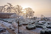 BROUGHTON GRANGE GARDENS, OXFORDSHIRE: WINTER, FROST, JANUARY, PARTERRE, HORNBEAM HEDGES, HEDGING, SUNRISE