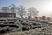 BROUGHTON GRANGE GARDENS, OXFORDSHIRE: WINTER, FROST, JANUARY, PARTERRE, HORNBEAM HEDGES, HEDGING, SUNRISE