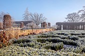 BROUGHTON GRANGE GARDENS, OXFORDSHIRE: WINTER, FROST, JANUARY, PARTERRE, HORNBEAM HEDGES, HEDGING, BEECH, FAGUS TOPIARY