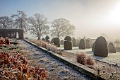 BROUGHTON GRANGE GARDENS, OXFORDSHIRE: WINTER, FROST, JANUARY, PARTERRE, HORNBEAM HEDGES, HEDGING, YEW TOPIARY