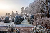 BROUGHTON GRANGE GARDENS, OXFORDSHIRE: WINTER, FROST, JANUARY, YEW TOPIARY, CLIPPED, TAXUS, AVENUE OF YEW