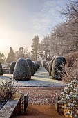 BROUGHTON GRANGE GARDENS, OXFORDSHIRE: WINTER, FROST, JANUARY, YEW TOPIARY, CLIPPED, TAXUS, AVENUE OF YEW