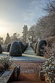 BROUGHTON GRANGE GARDENS, OXFORDSHIRE: WINTER, FROST, JANUARY, YEW TOPIARY, CLIPPED, TAXUS, AVENUE OF YEW