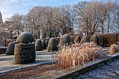 BROUGHTON GRANGE GARDENS, OXFORDSHIRE: WINTER, FROST, JANUARY, YEW TOPIARY, CLIPPED, TAXUS, GRASSES