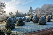 BROUGHTON GRANGE GARDENS, OXFORDSHIRE: WINTER, FROST, JANUARY, YEW TOPIARY, CLIPPED, TAXUS, GRASSES