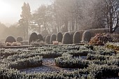 BROUGHTON GRANGE GARDENS, OXFORDSHIRE: WINTER, FROST, JANUARY, YEW TOPIARY, CLIPPED, TAXUS, PARTERRE