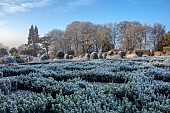 BROUGHTON GRANGE GARDENS, OXFORDSHIRE: WINTER, FROST, JANUARY, YEW TOPIARY, CLIPPED, TAXUS, PARTERRE