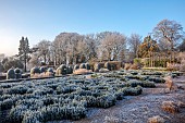 BROUGHTON GRANGE GARDENS, OXFORDSHIRE: WINTER, FROST, JANUARY, YEW TOPIARY, CLIPPED, TAXUS, PARTERRE