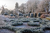 BROUGHTON GRANGE GARDENS, OXFORDSHIRE: WINTER, FROST, JANUARY, YEW TOPIARY, CLIPPED, TAXUS, PARTERRE