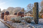 BROUGHTON GRANGE GARDENS, OXFORDSHIRE: WINTER, FROST, JANUARY, RILL, TOPIARY, CUPRESSUS SEMPERVIRENS, ITALIAN CYPRESS, BEECH TOPIARY, FAGUS SYLVATICA, PHLOMIS LLOYDS VARIETY