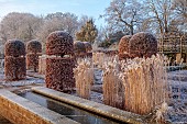 BROUGHTON GRANGE GARDENS, OXFORDSHIRE: WINTER, FROST, JANUARY, RILL, WATER, GRASSES, FAGUS SYLVATICA, CLIPPED, TOPIARY, BEECH