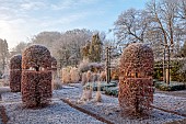 BROUGHTON GRANGE GARDENS, OXFORDSHIRE: WINTER, FROST, JANUARY, RILL, WATER, GRASSES, FAGUS SYLVATICA, CLIPPED, TOPIARY, BEECH