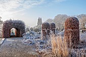 BROUGHTON GRANGE GARDENS, OXFORDSHIRE: WINTER, FROST, JANUARY, GRASSES, FAGUS SYLVATICA, CLIPPED, TOPIARY, BEECH, HORNBEAM ARCHED WALKWAY
