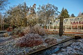BROUGHTON GRANGE GARDENS, OXFORDSHIRE: WINTER, FROST, JANUARY, RILL, WATER, GRENHOUSE, GENISTA AETNENSIS, CLIPPED ITALIAN CYPRESS, CUPRESSUS SEMPERVIRENS