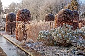 BROUGHTON GRANGE GARDENS, OXFORDSHIRE: WINTER, FROST, JANUARY, RILL, WATER, GRASSES, PHLOMIS ANATOLIA LLOYDS VARIETY, CLIPPED BEECH, FAGUS SYLVATICA