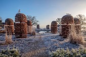 BROUGHTON GRANGE GARDENS, OXFORDSHIRE: WINTER, FROST, JANUARY, CLIPPED BEECH, FAGUS SYLVATICA