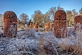 BROUGHTON GRANGE GARDENS, OXFORDSHIRE: WINTER, FROST, JANUARY, CLIPPED BEECH, FAGUS SYLVATICA