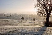 BROUGHTON GRANGE GARDENS, OXFORDSHIRE: WINTER, FROST, JANUARY, THE ARBORETUM FROM THE WALLED GARDEN