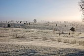 BROUGHTON GRANGE GARDENS, OXFORDSHIRE: WINTER, FROST, JANUARY, THE ARBORETUM FROM THE WALLED GARDEN