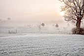 BROUGHTON GRANGE GARDENS, OXFORDSHIRE: WINTER, FROST, JANUARY, THE ARBORETUM FROM THE WALLED GARDEN