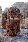 BROUGHTON GRANGE GARDENS, OXFORDSHIRE: WINTER, FROST, JANUARY, BEECH HEDGES, HEDGING, CLIPPED, TOPIARY, FAGUS SYLVATICA