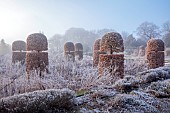 BROUGHTON GRANGE GARDENS, OXFORDSHIRE: WINTER, FROST, JANUARY, BEECH HEDGES, HEDGING, CLIPPED, TOPIARY, FAGUS SYLVATICA