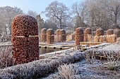 BROUGHTON GRANGE GARDENS, OXFORDSHIRE: WINTER, FROST, JANUARY, BEECH HEDGES, HEDGING, CLIPPED, TOPIARY, FAGUS SYLVATICA, WATER, POND, POOL