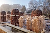 BROUGHTON GRANGE GARDENS, OXFORDSHIRE: WINTER, FROST, JANUARY, BEECH HEDGES, HEDGING, CLIPPED, TOPIARY, FAGUS SYLVATICA, WATER, RILL, GRASSES