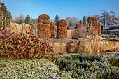 BROUGHTON GRANGE GARDENS, OXFORDSHIRE: WINTER, FROST, JANUARY, BEECH HEDGES, HEDGING, CLIPPED, TOPIARY, FAGUS SYLVATICA, WALL, PARTERRE
