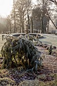 BROUGHTON GRANGE GARDENS, OXFORDSHIRE: WINTER, FROST, JANUARY, WINTER GARDEN, FOUNTAIN, LAWN