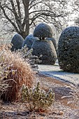 BROUGHTON GRANGE GARDENS, OXFORDSHIRE: WINTER, FROST, JANUARY, GRASSES, LAWN, CLIPPED TOPIARY, YEW