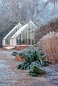 BROUGHTON GRANGE GARDENS, OXFORDSHIRE: WINTER, FROST, JANUARY, GRASSES, MISCANTHUS SINENSIS MALEPARTUS, GREENHOUSE