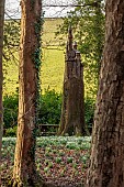 PAINSWICK ROCOCO GARDEN, GLOUCESTERSHIRE: BEECH TREE IN WOODLAND SCULPTED INTO A GERMAN CASTLE BY DENIUS PARSON. ORNAMENT, SCULPTURE, WOOD, SNOWDROPS, FEBRUARY