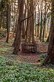 PAINSWICK ROCOCO GARDEN, GLOUCESTERSHIRE: WOODLAND, TREES, SNOWDROPS, WICKER HOUSE, OUTBUILDING, ARBOUR, FEBRUARY