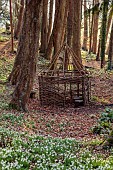 PAINSWICK ROCOCO GARDEN, GLOUCESTERSHIRE: WOODLAND, TREES, SNOWDROPS, WICKER HOUSE, OUTBUILDING, ARBOUR, FEBRUARY