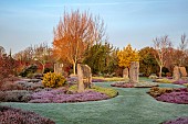 HOLME FOR GARDENS, DORSET, FEBRUARY, HENGE GARDEN, HOLME HENGE, STONE CIRCLE OF PURBECK STONE MONOLITHS, HEATHERS, PINES, WINTER GARDEN