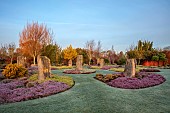 HOLME FOR GARDENS, DORSET, FEBRUARY, HENGE GARDEN, HOLME HENGE, STONE CIRCLE OF PURBECK STONE MONOLITHS, HEATHERS, PINES, WINTER GARDEN
