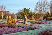 HOLME FOR GARDENS, DORSET, FEBRUARY, HENGE GARDEN, HOLME HENGE, STONE CIRCLE OF PURBECK STONE MONOLITHS, HEATHERS, PINES, WINTER GARDEN